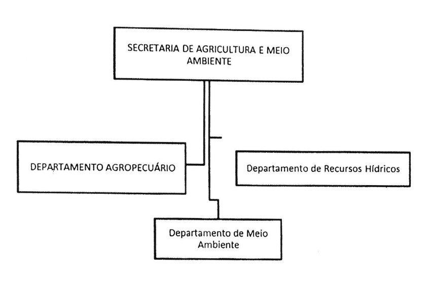 organograma