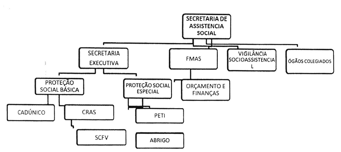organograma